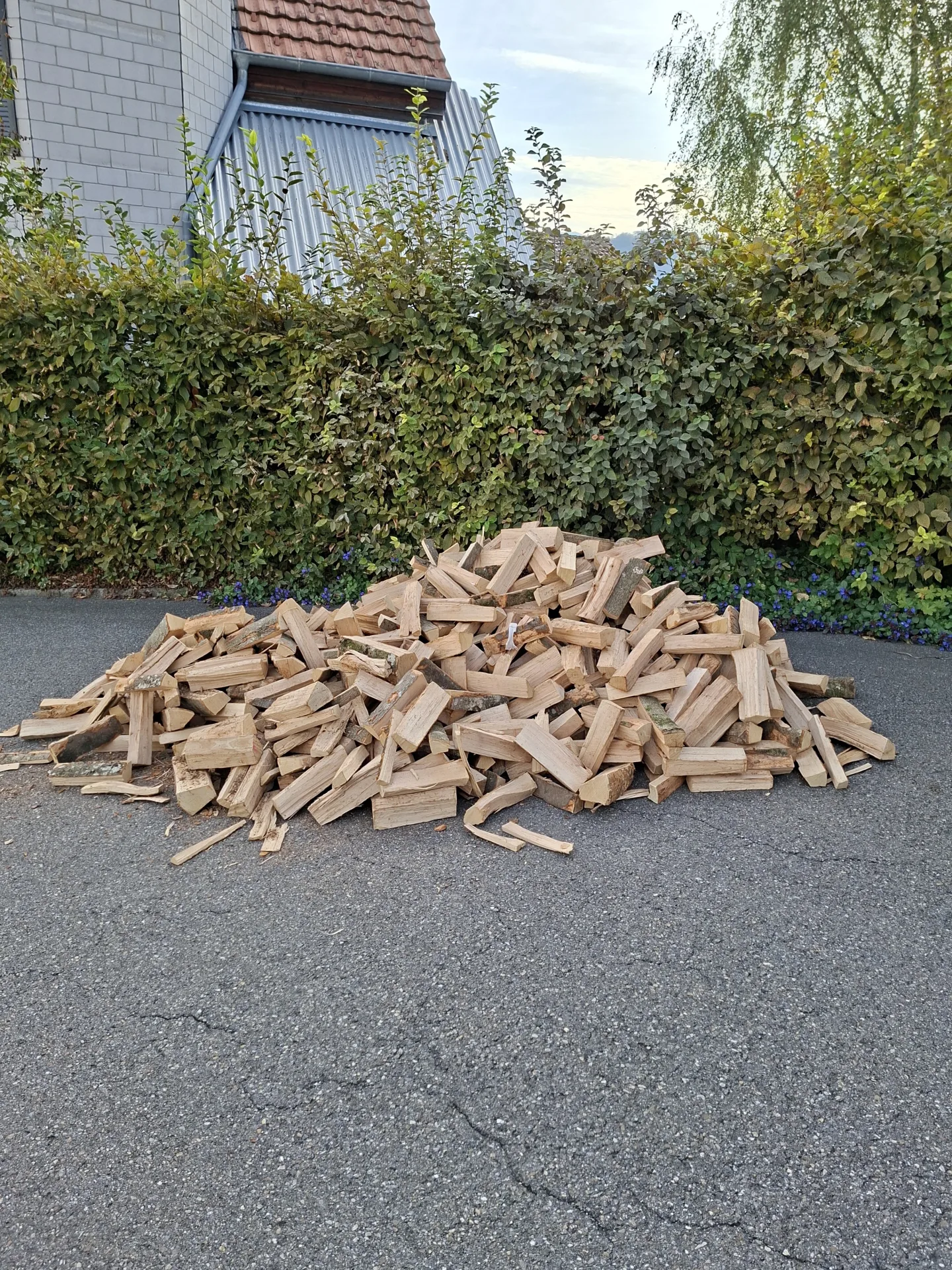 Ein Ster Brennholz, lose auf den Vorplatz gekippt