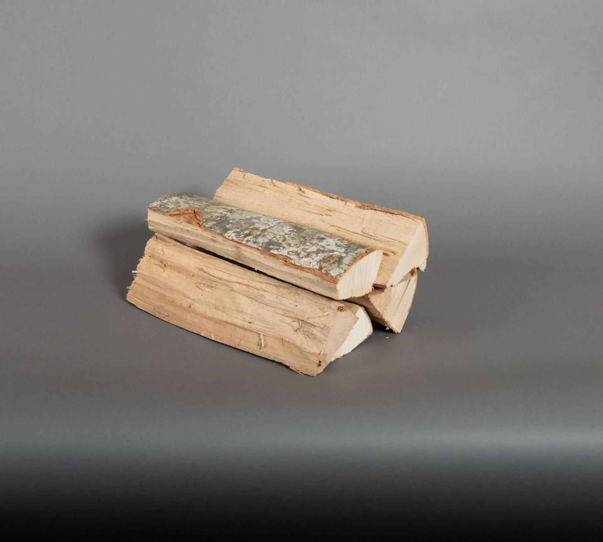 Buche 33cm | lose