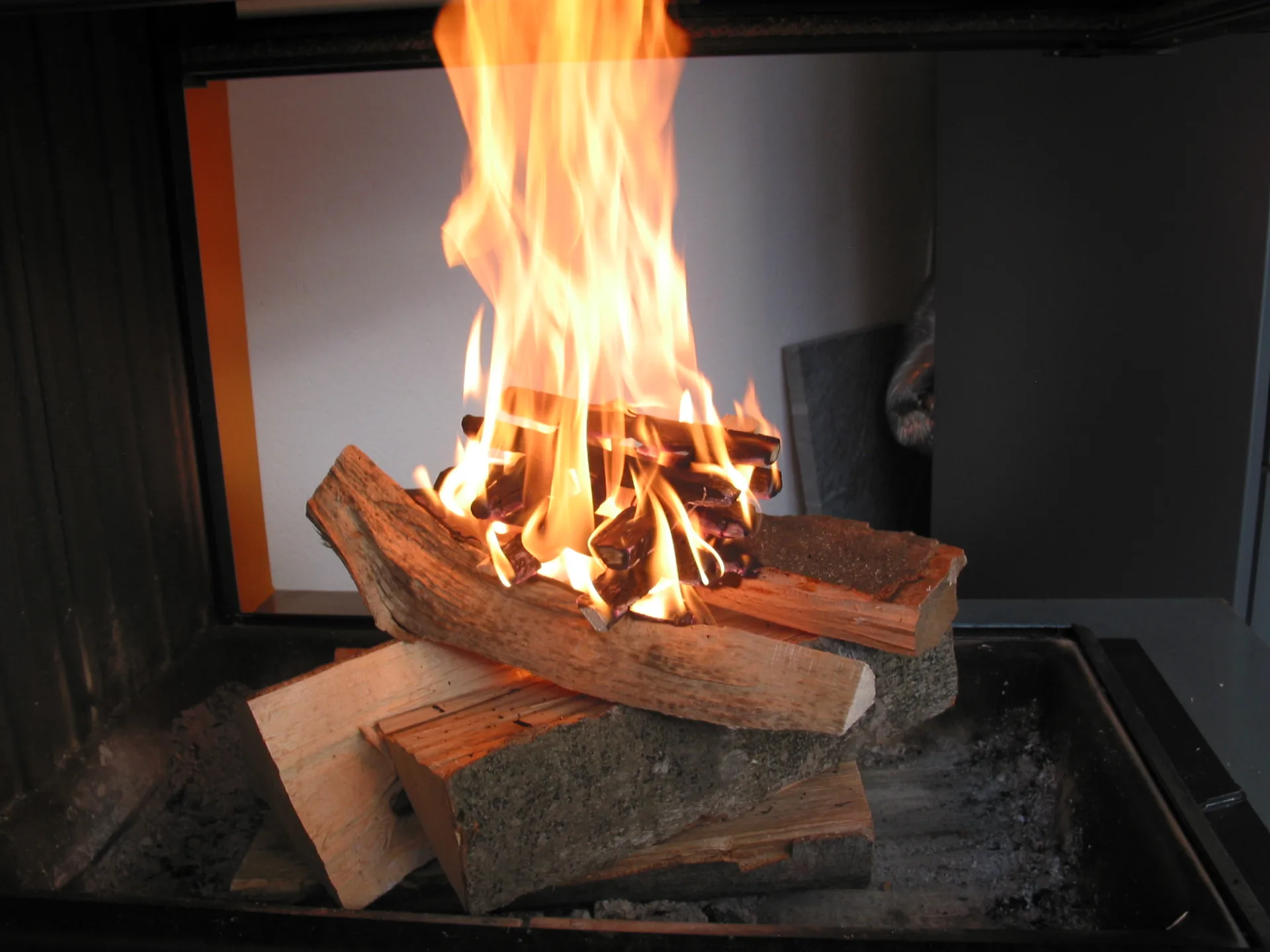 Anfeuerholz corto – Bild 2 von 2