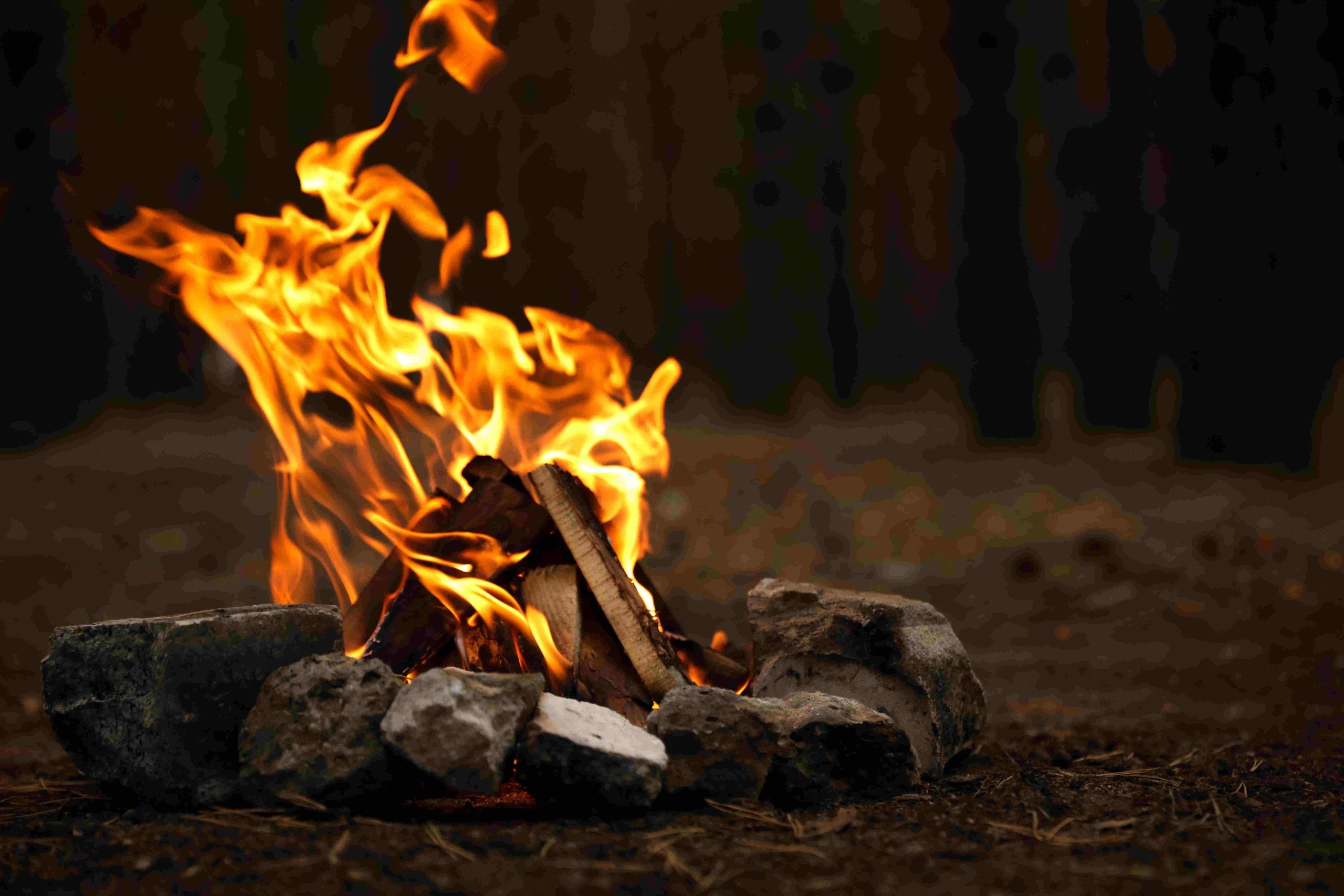 Lagerfeuer 25cm | lose